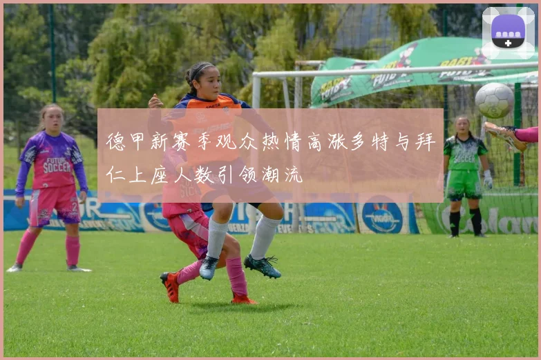 德甲新赛季观众热情高涨多特与拜仁上座人数引领潮流