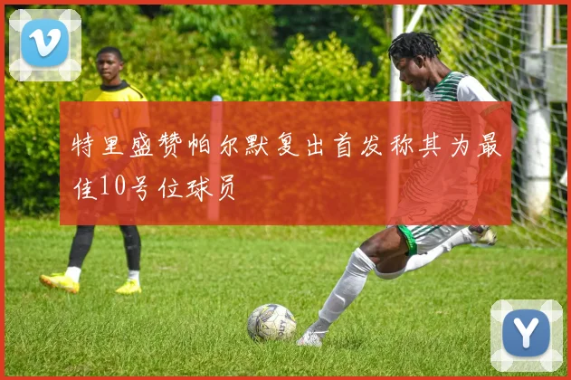 特里盛赞帕尔默复出首发称其为最佳10号位球员