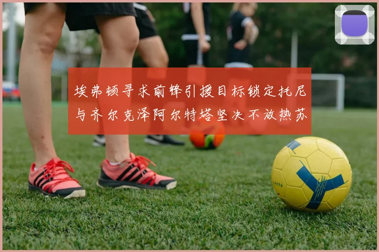 埃弗顿寻求前锋引援目标锁定托尼与齐尔克泽阿尔特塔坚决不放热苏斯