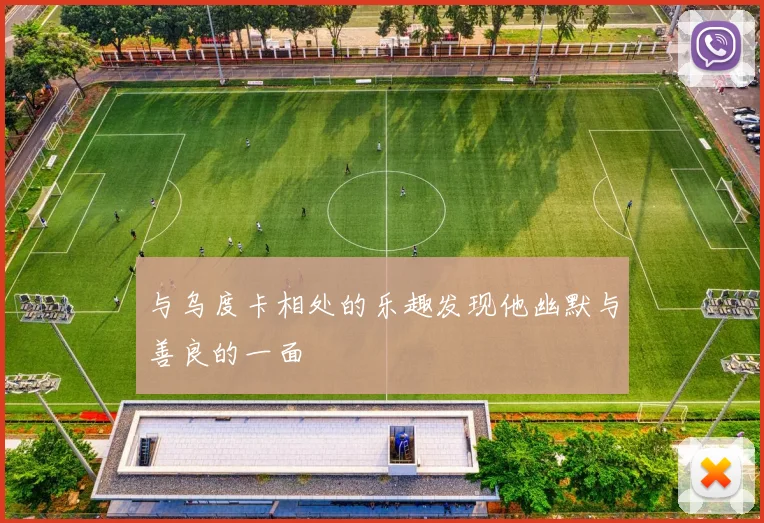 与乌度卡相处的乐趣发现他幽默与善良的一面