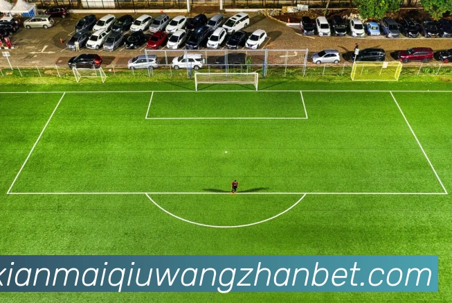 在线买球网站平台生态图