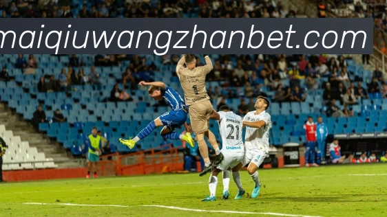 在线买球网站APP 封面图